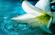 01. Mandi Bagi Wanita Yang Melahirkan Lewat Operasi Caesar