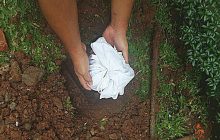 Bolehkah Mengubur Potongan Rambut