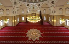 Membersihkan Karpet Yang Pernah Ditiduri Anjing