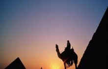 Kisah Seorang Sahabat Yang Membuat Rosulullah Geli