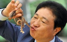 Hukum Memakan Hewan (Gurita) Hidup-hidup