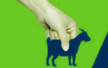 Hukum Ber-Qurban Dengan Transfer Uang Kepada Panitia