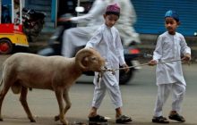 Lafadz Tawkil Udhiyyah (Saat Menyerahkan Hewan Qurban)