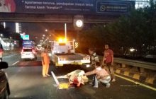 Menyembelih Hewan Yang Tertabarak